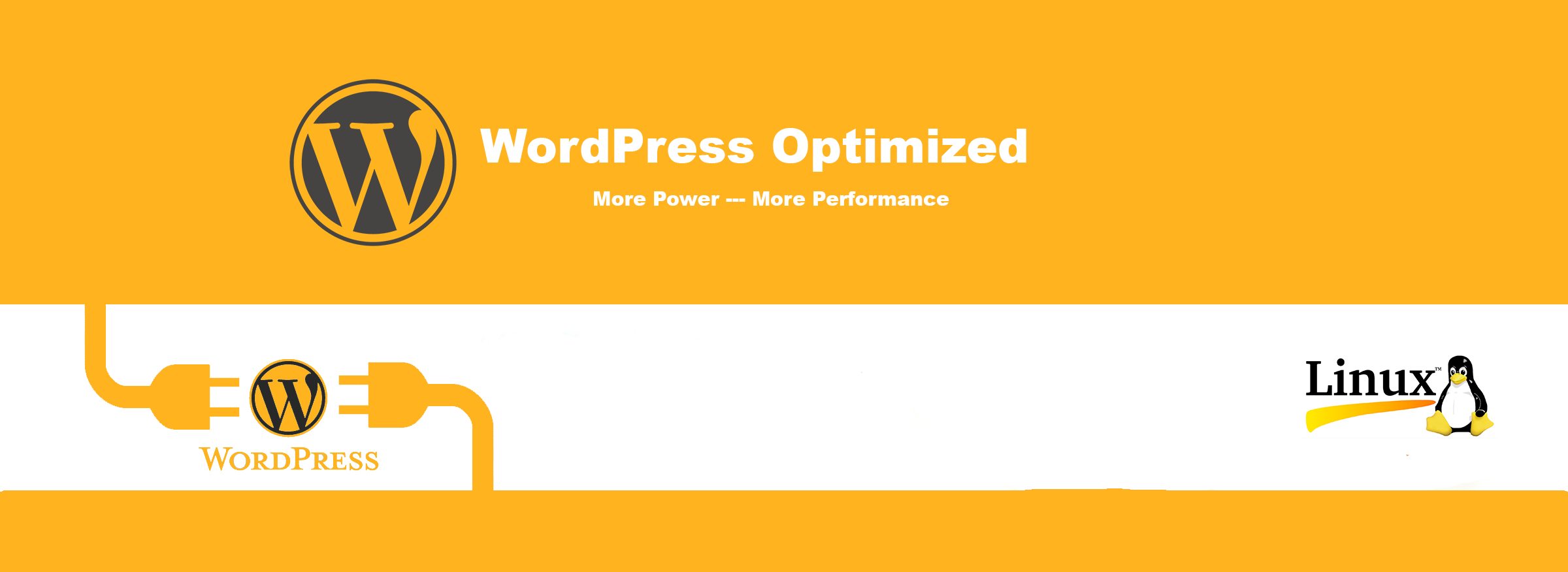 WordPress Hosting in India